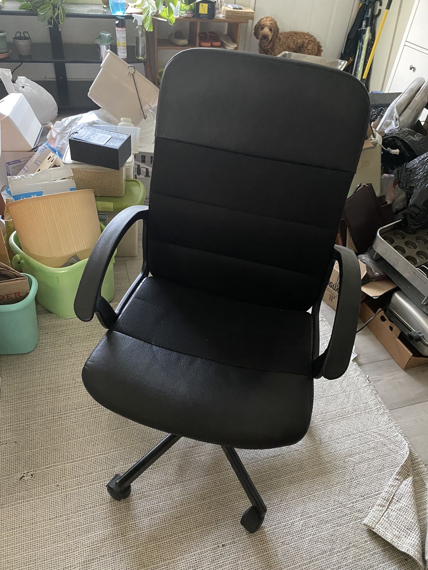 Black Simple Computer Chair for Sale in Federal Way, WA OfferUp