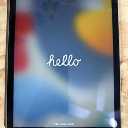 iPad Air 2