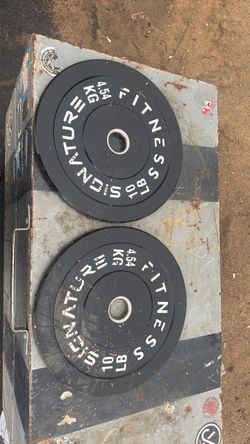 two 10 pound plates