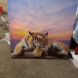 Tiger Picture