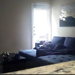 Sectional Couch With Rug  Bundle