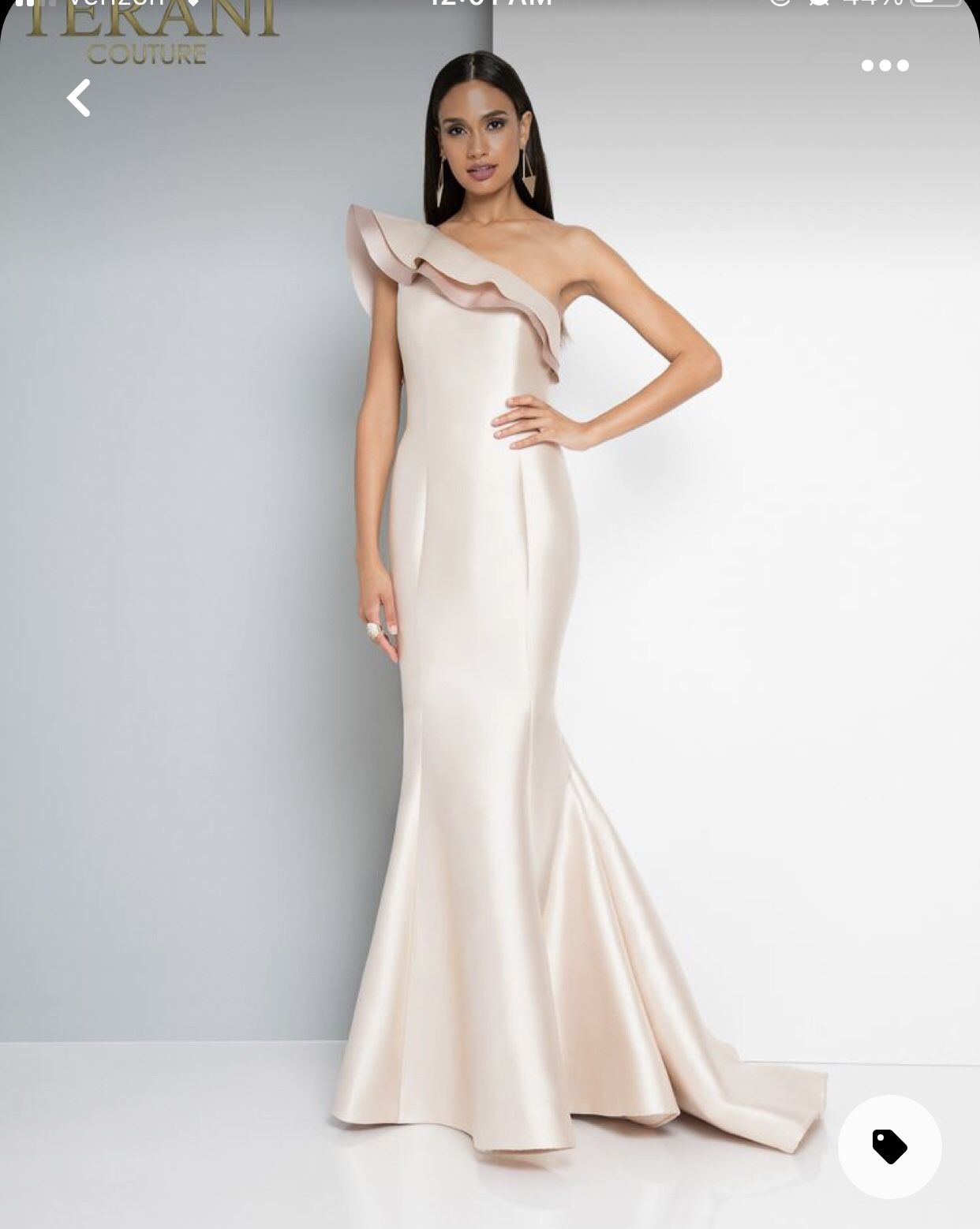 Terani Couture Blush Dress 