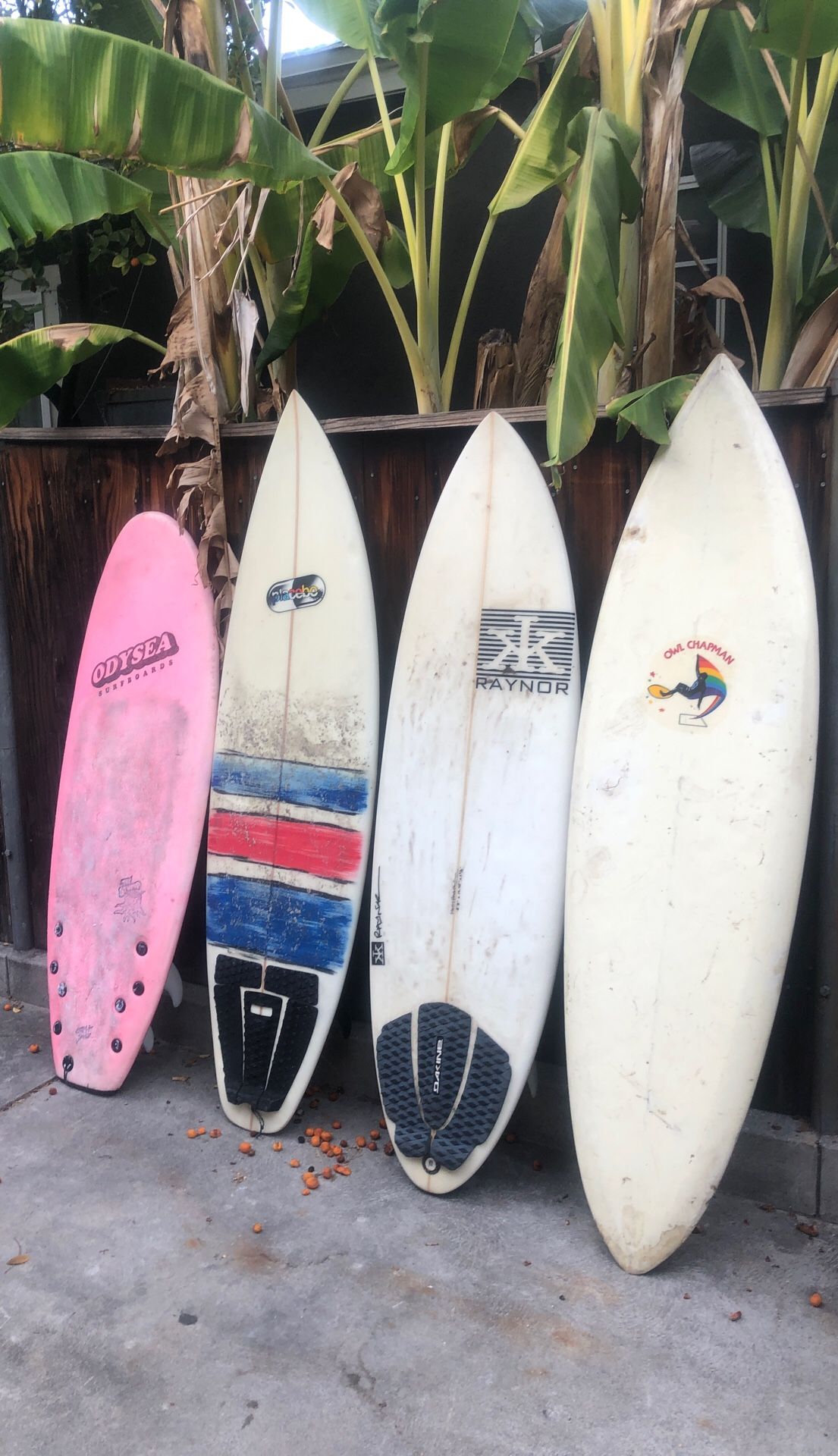 Surfboards catch surf, owl Chapman