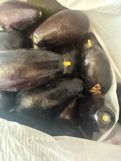 Brogdon Avocados