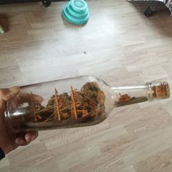 Ship In A Bottle / Art