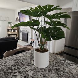 Faux Monstera Plant 