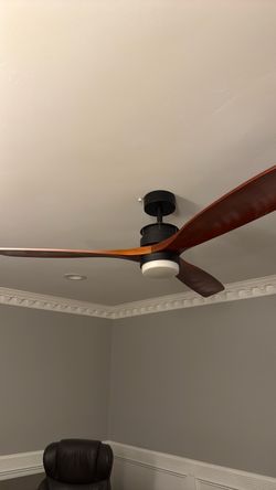 Ceiling fan