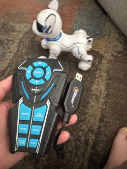 Robot R/C Dog
