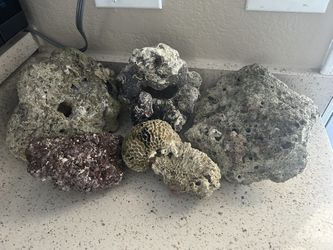 Saltwater Live Rock