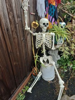 Skeletons
