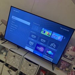 55’ Inch Roku Tv 