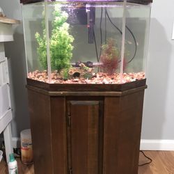 Fish Tank