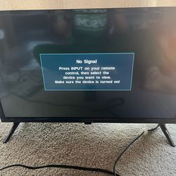 24" Mini-TV Insignia (in Des Moines/West Kent)