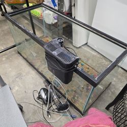 FREE 40 GALLON FISH TANK AQUARIUM