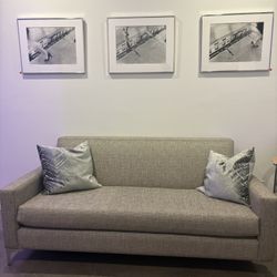 Home/ Office Furniture- Sofa w/ Pillows
