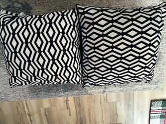 Couch cushions