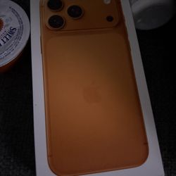 iPhone 17 Pro Max excellent condition With case and privacy screen protector 