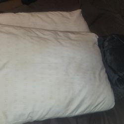 Free **2 Standard/Queen Pillows And Fleece Throw