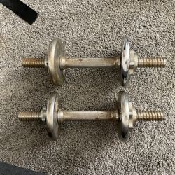 “Pair of Adjustable Dumbbell Handles with Cast Iron Plates - Vintage Style”