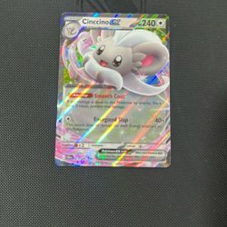Cinccino Ex