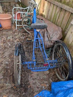 Alameda 3 wheel adult bike with basket