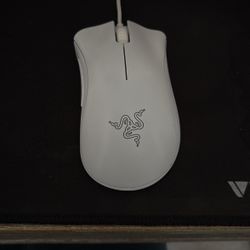 Razer Deathadder Essential Gaming Mouse