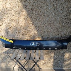 2020-21 Hyundai Palisade Tailgate Molding 
