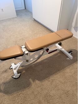 Commercial Weightlifting Bench & Weights