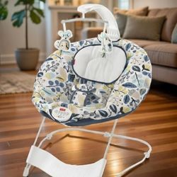 Fisher Price Bouncer Rocker