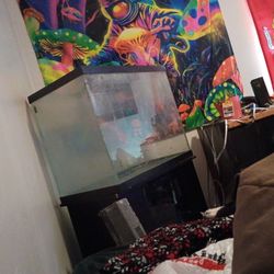 80 Gallon Fish Tank 