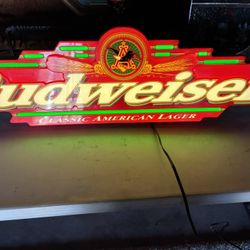 Plastic Budweiser light