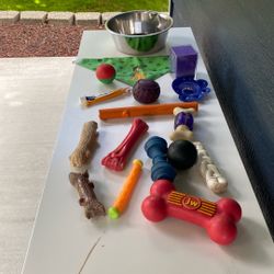Random dog items