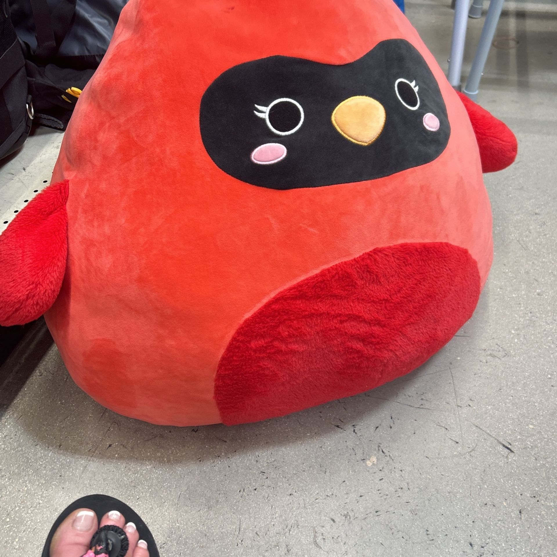 Anger Bird Bean Bag New 