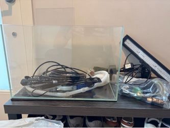 Rimless 10G Aquarium Setup