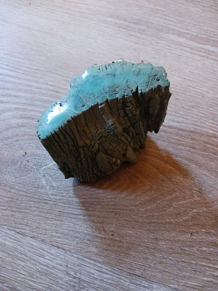 Green Petrified Wood