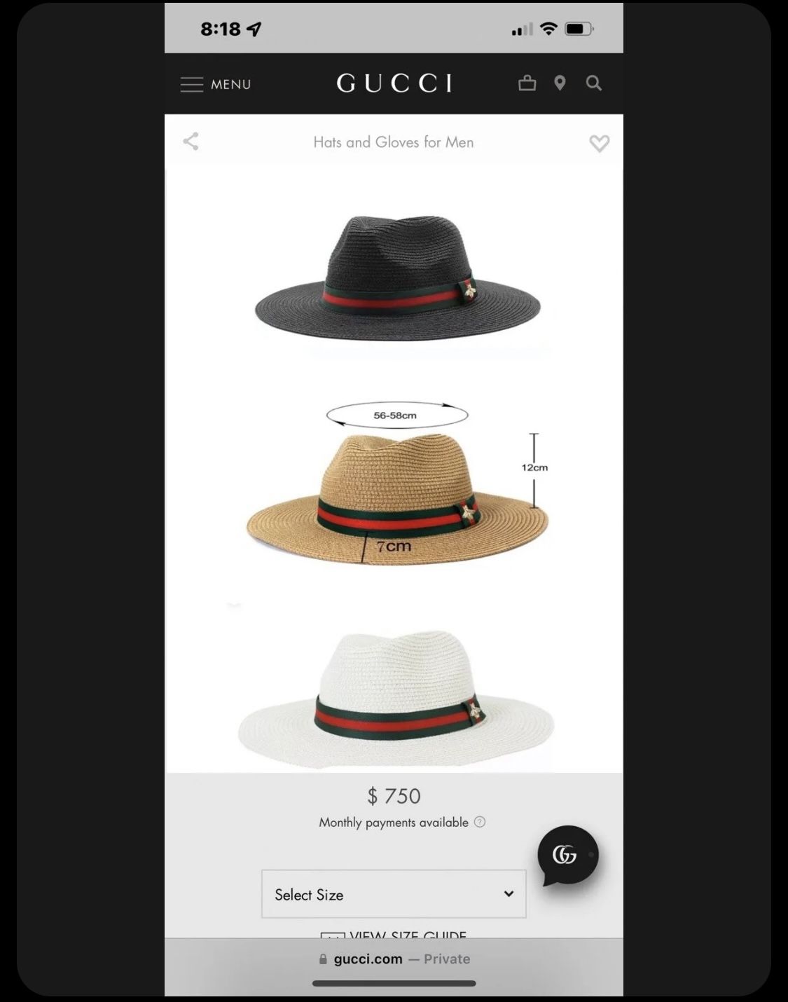 Gucci Bucket Hat (Bee) Removal Band