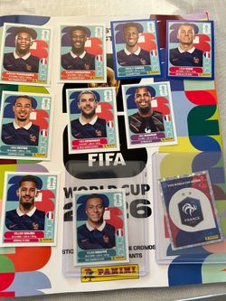 Panini World Cup Stickers