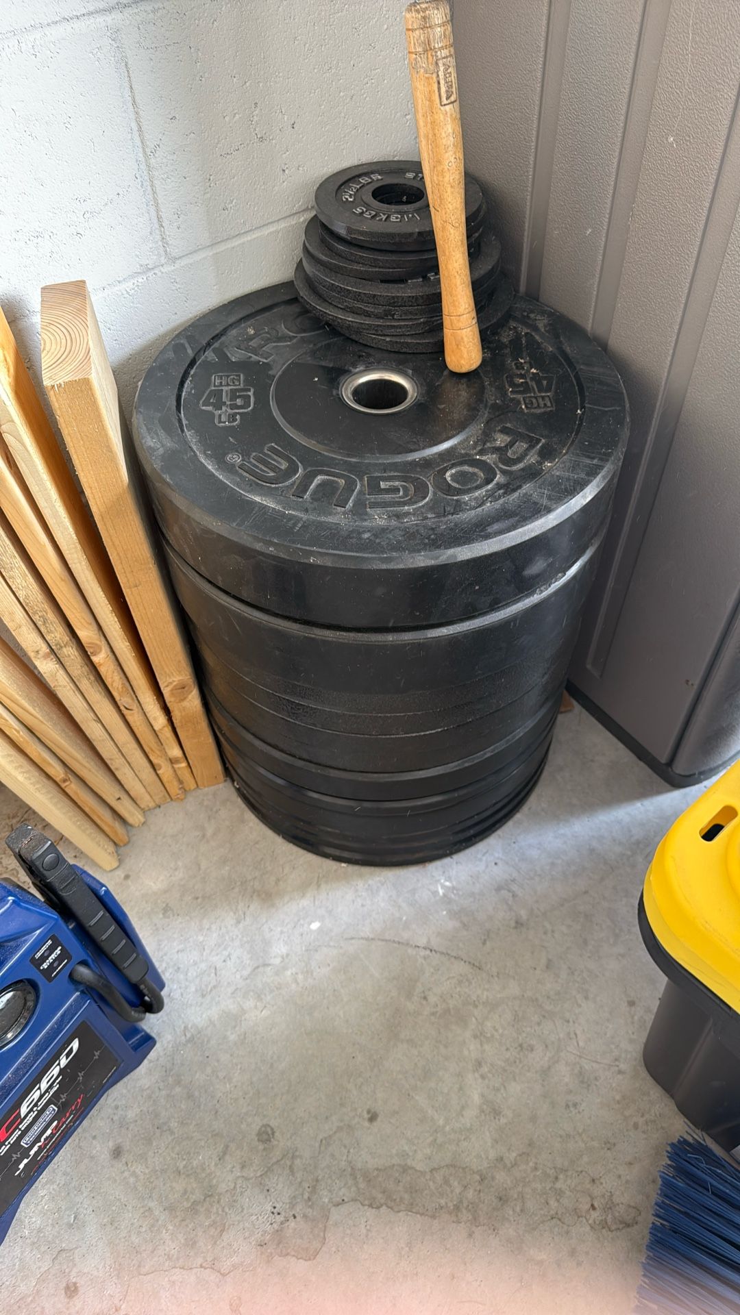 Free Weights (Bumper And Steel)