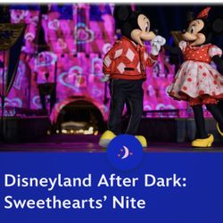 Disneyland Sweetheart Night Tickets (2)
