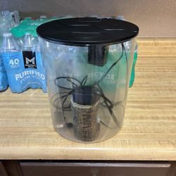 Fish Tank With Filter