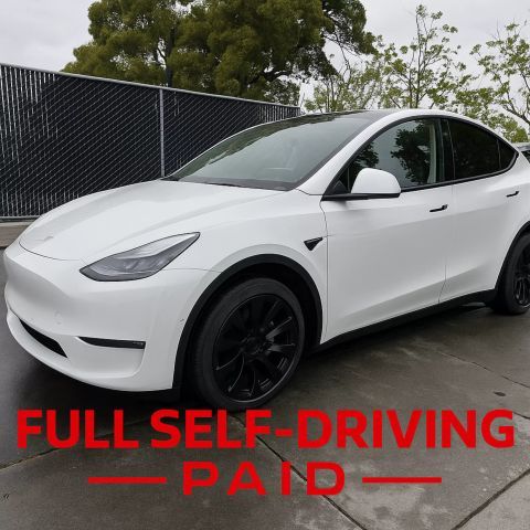 2020 Tesla Model Y