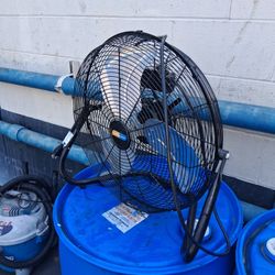 Fan 