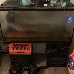 Fish Tank For Sale