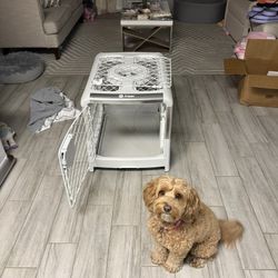 Diggs Revol Crate (Collapsable)