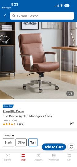 Elle Decor Ayden Manager Chair