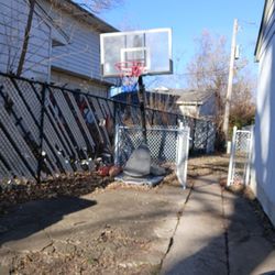 Basketball 🏀 Hoop
