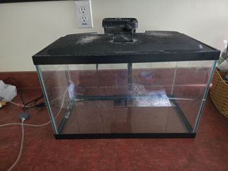 10 gal fish tank with filter 4 bag included