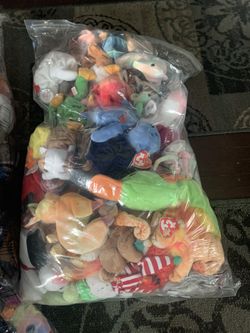 Beanie Babie Collection