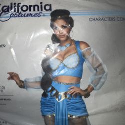 Princess Jasmine Adult Costume Size Small