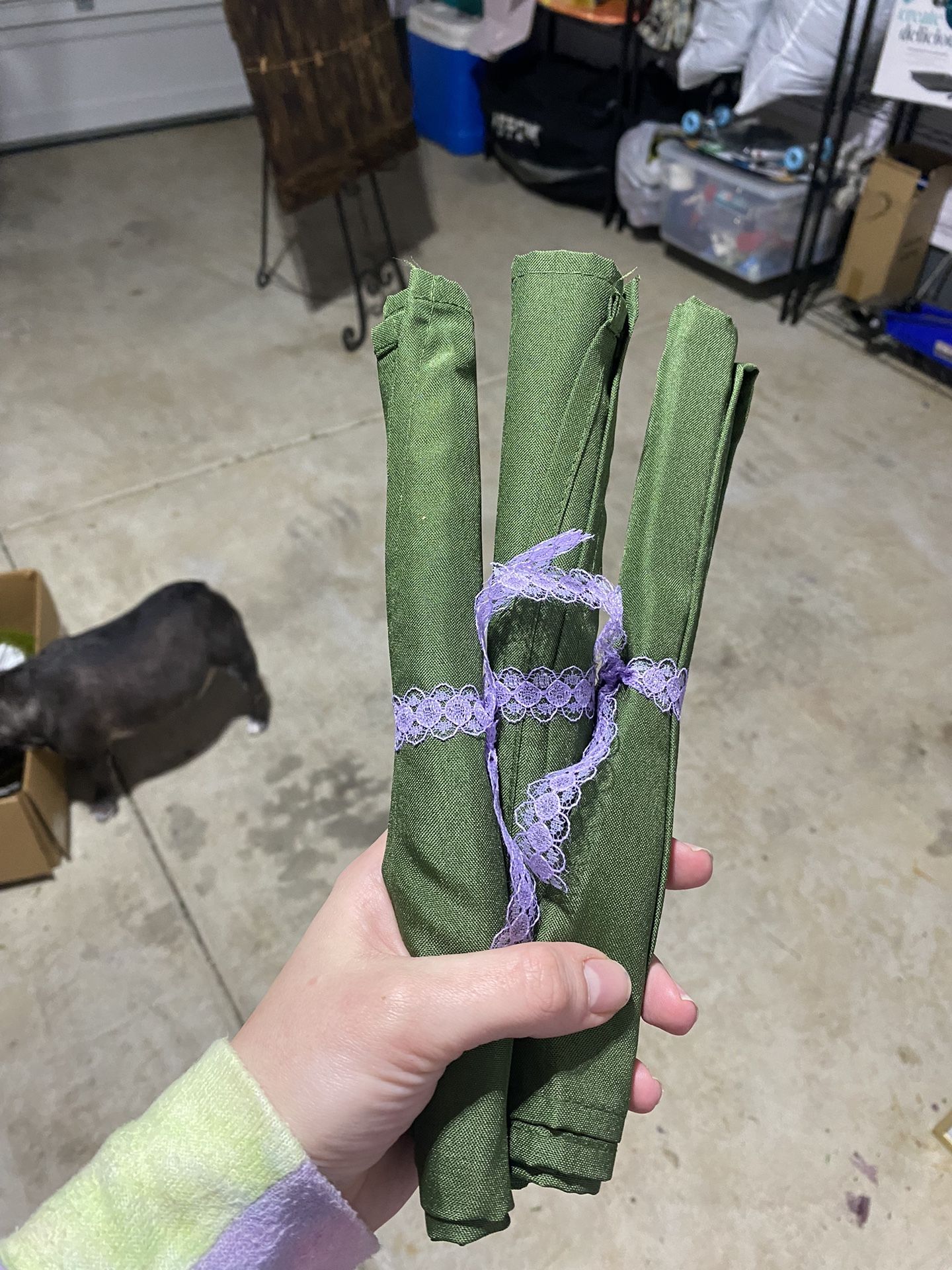 Green Cloth Dinner Napkins